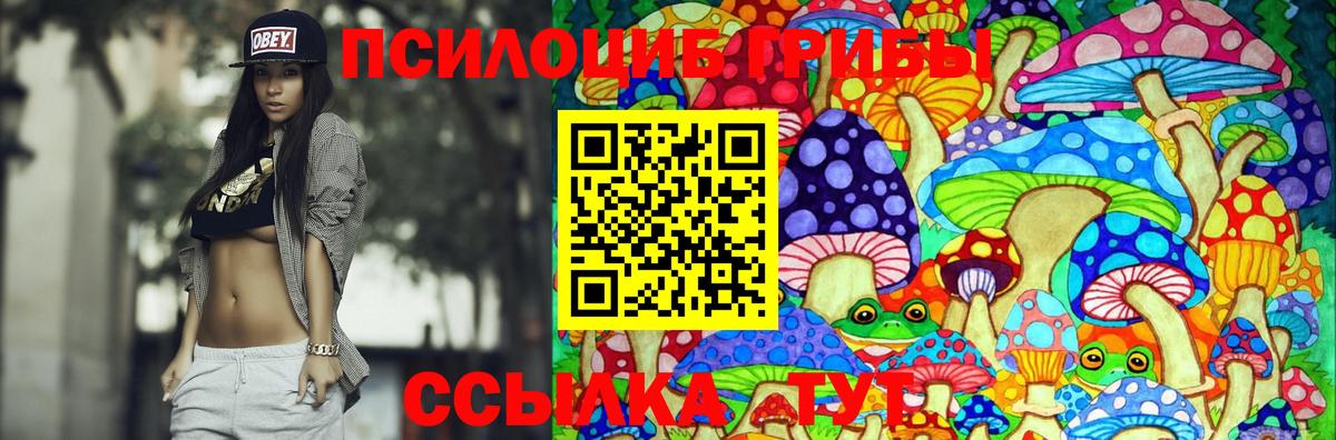 Псилоцибиновые грибы GOLDEN TEACHER Краснокаменск